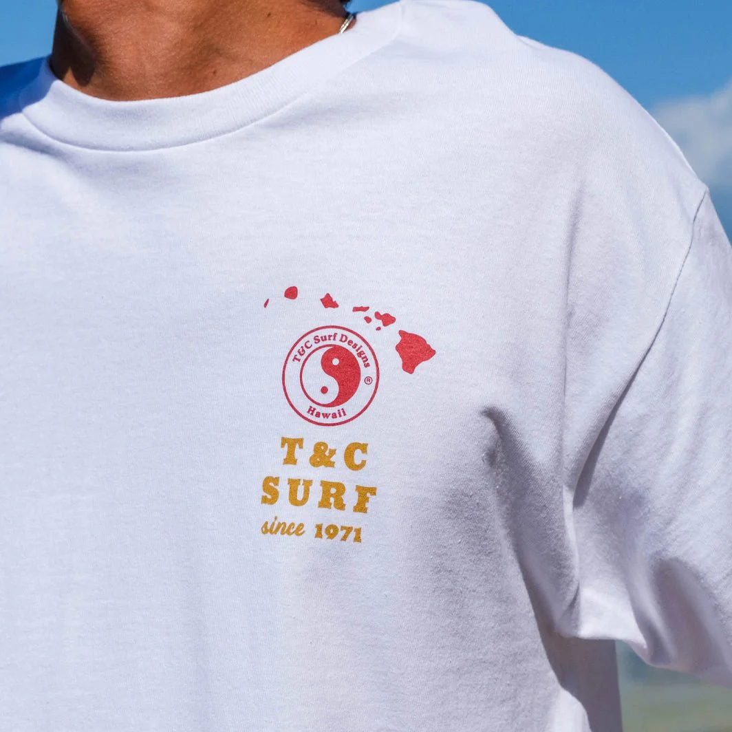 Men's T-Shirt Surf Hawaii Print Beach Daily Round Neck Short Sleeve Tops