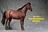Mr.Z MRZ056 1/6 Thoroughbreds Horse Harness Statue Model Fit 12'' Soldier Action Figure Dolls-aliexpress
