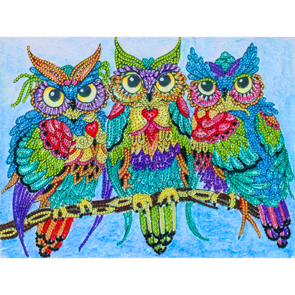 Crystal Owl 40*30cm(canvas) full beautiful special shaped drill diamond painting