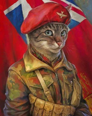 Military Cat Art - Paint By Numbers