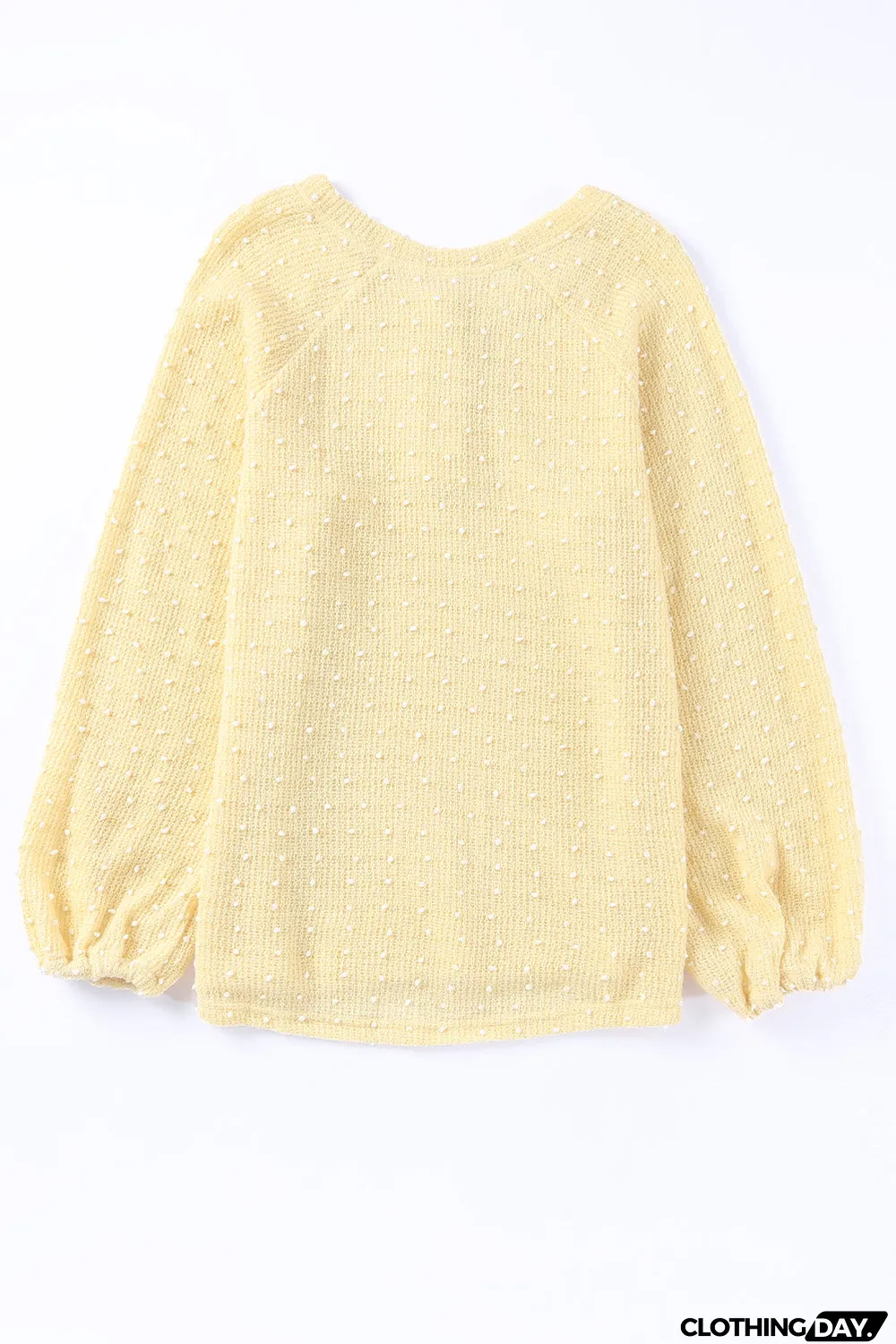 Swiss Dot Raglan Sleeves Knit Top