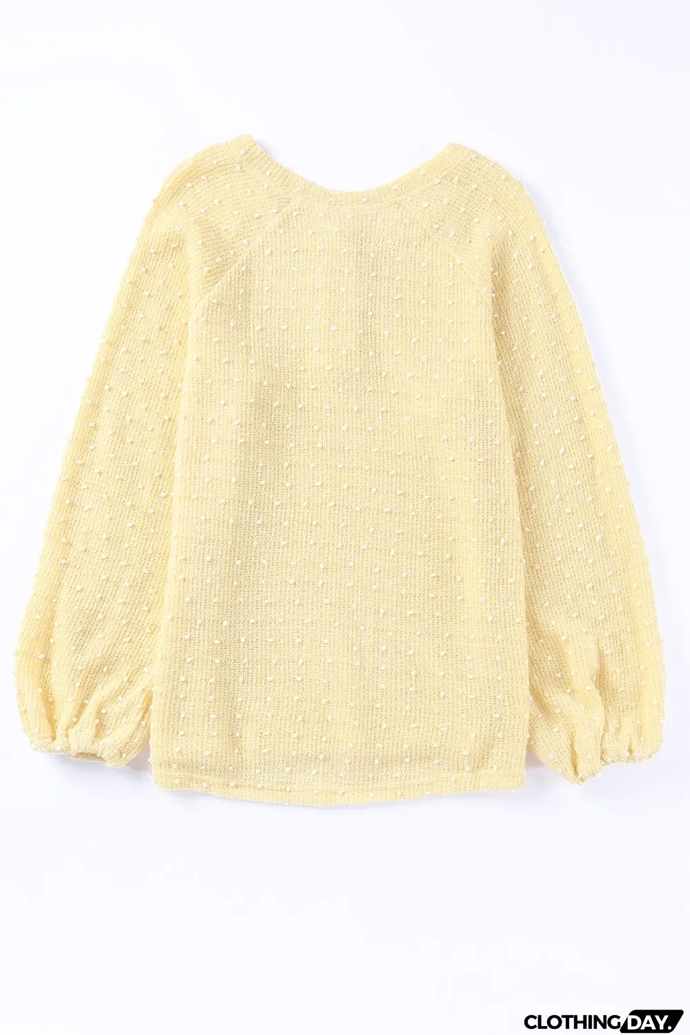 Swiss Dot Raglan Sleeves Knit Top