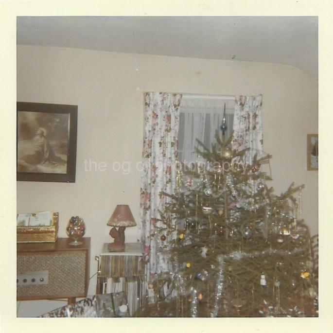 FOUND Photo Poster paintingGRAPH Color CHRISTMAS TREE Original Snapshot VINTAGE JD 19 21 W