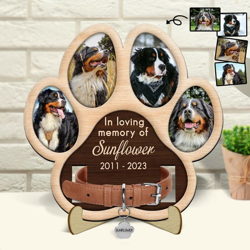 Colar Frame Personalized Pet Collar Frame Custom Photo Memorial Gift For Pet Lovers