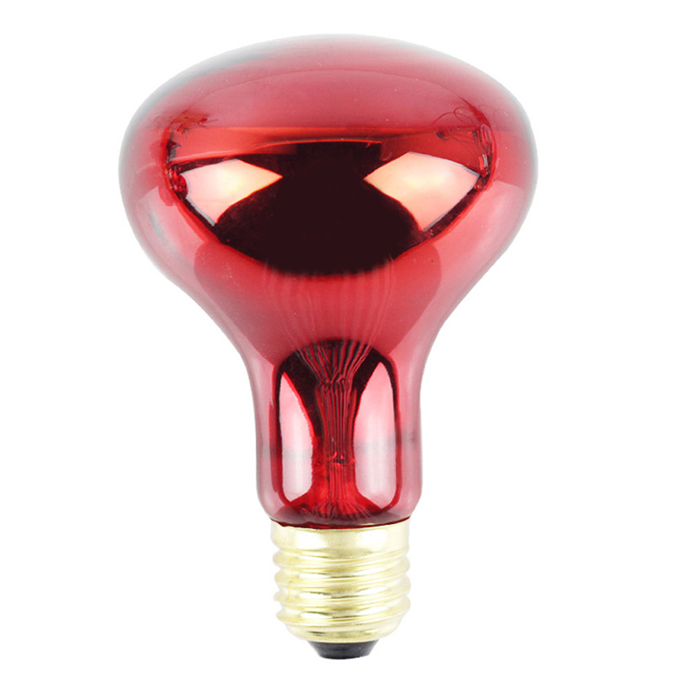 

100W R80 Pet Heating Bulb Red Infrared Bulb for Amphibian Pets 220V Light, 501 Original