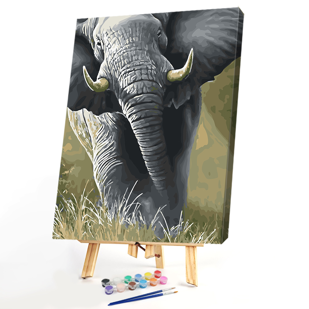 

40*50CM Paint By Numbers-Elephant, 501 Original