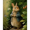 Rabbit - 11CT Stamped Cross Stitch - 40*50cm - Animal