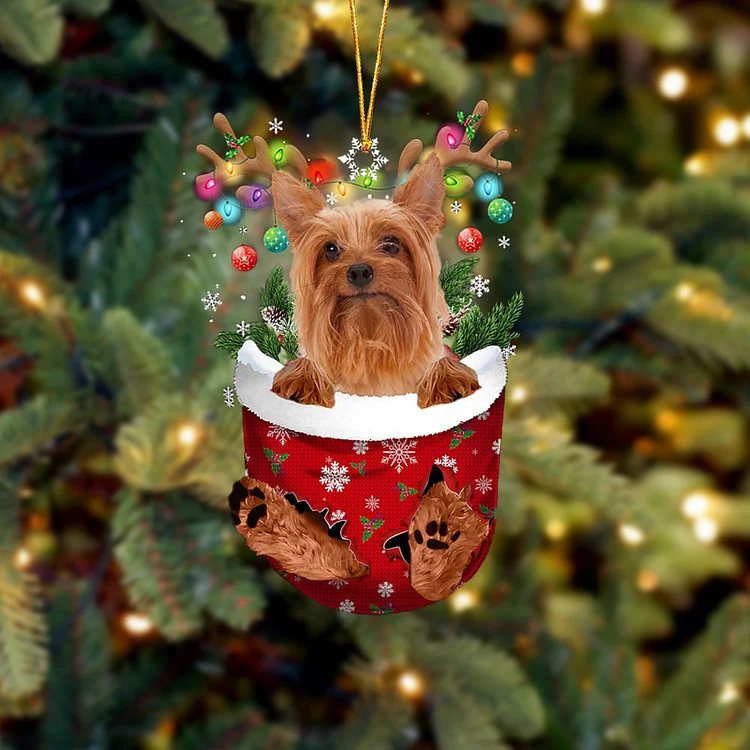 Silky Terrier In Snow Pocket Christmas Ornament