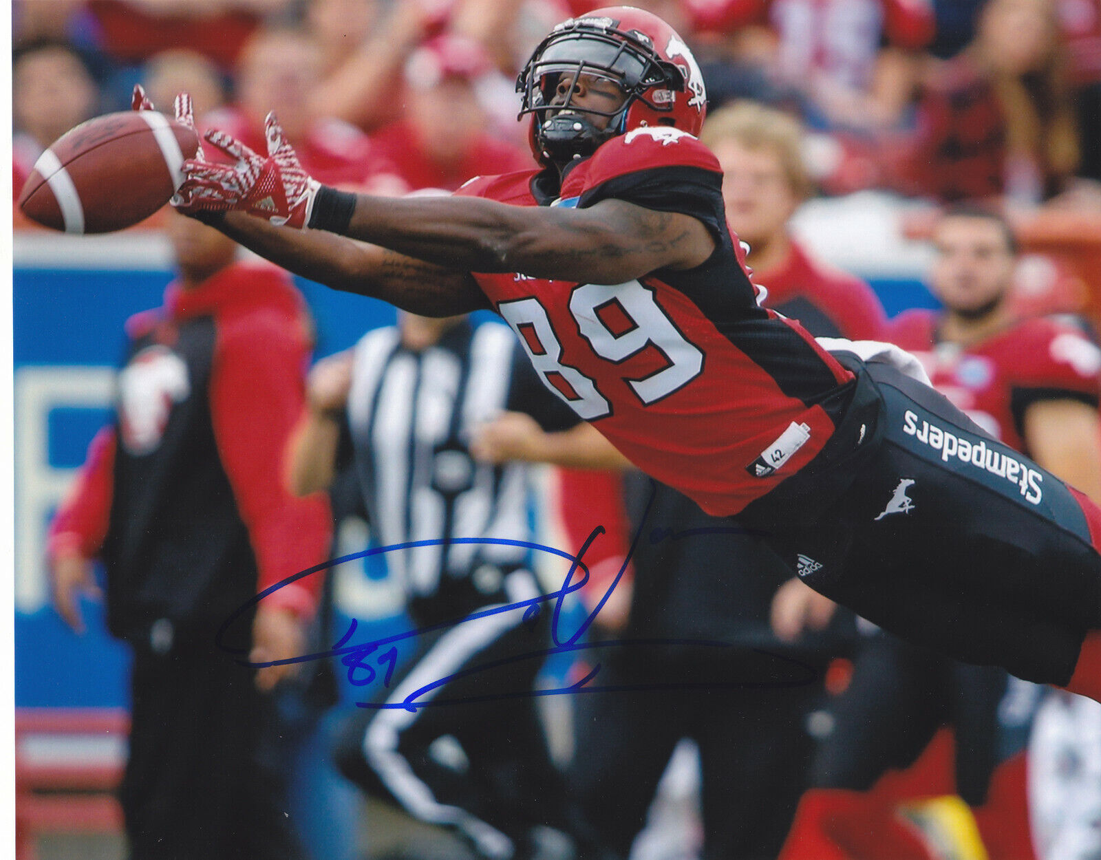 DAVARIS DANIELS SIGNED AUTOGRAPH CALGARY STAMPEDERS CFL GREY CUP 8X10 Photo Poster painting