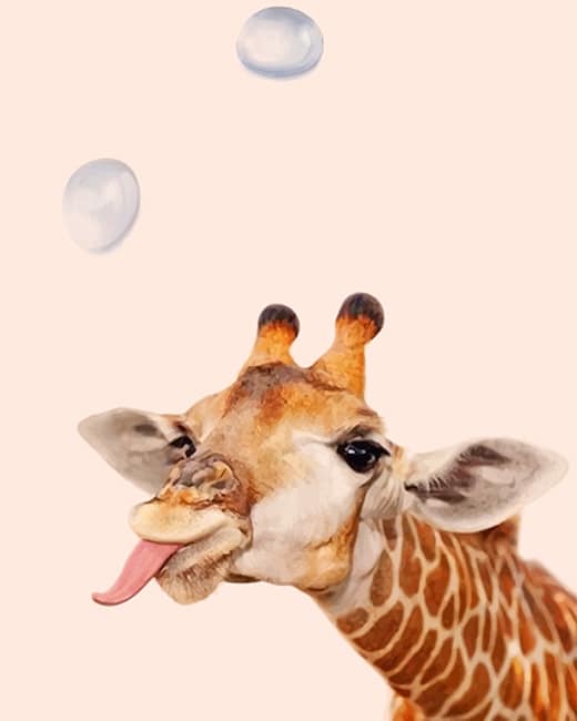 

Crazy Giraffe – Paint By Numbers - 40*50CM, 501 Original