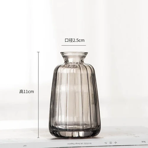Mini Glass Vase For Decoration Small Living Room Decor Aesthetic Modern Transparent Hydroponic Flower Vase Home Decoration