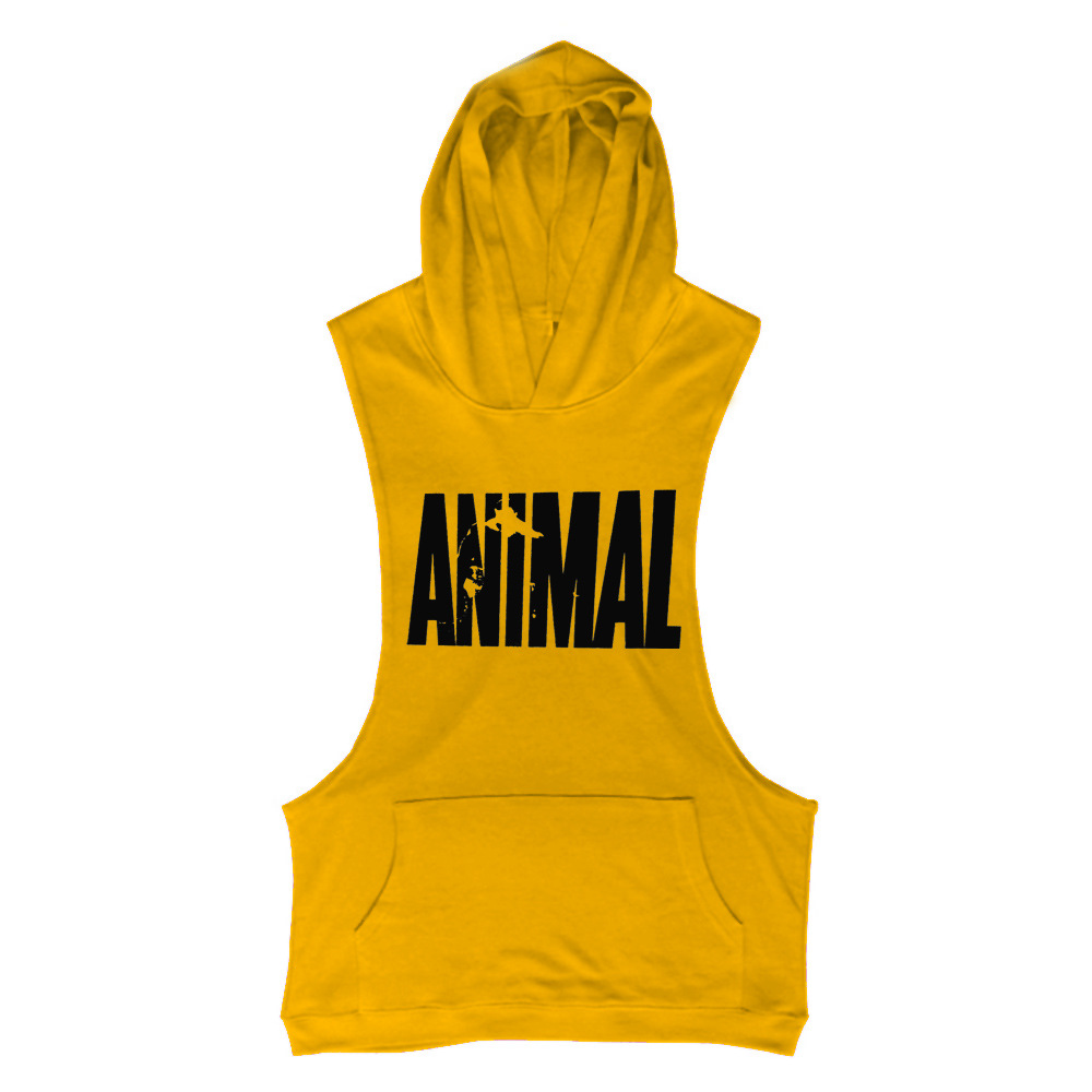 3226715042_144076238513 副本