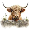 (US Only)Full Embroidery cotton Thread 11CT Count Highland Yak Cross Stitch 40x40cm