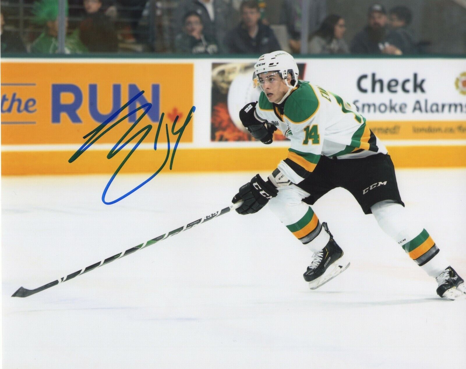 LUKE EVANGELISTA SIGNED LONDON KNIGHTS 8X10 Photo Poster painting NASHVILLE PREDATORS PROOF