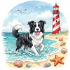 Border Collie Seaside Puppy-14CT Stamped Cross Stitch 30*30cm tapestrymarket
