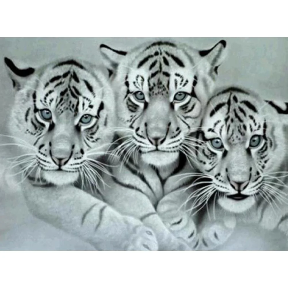 Full Round Diamond Painting Tigers (40*30cm)