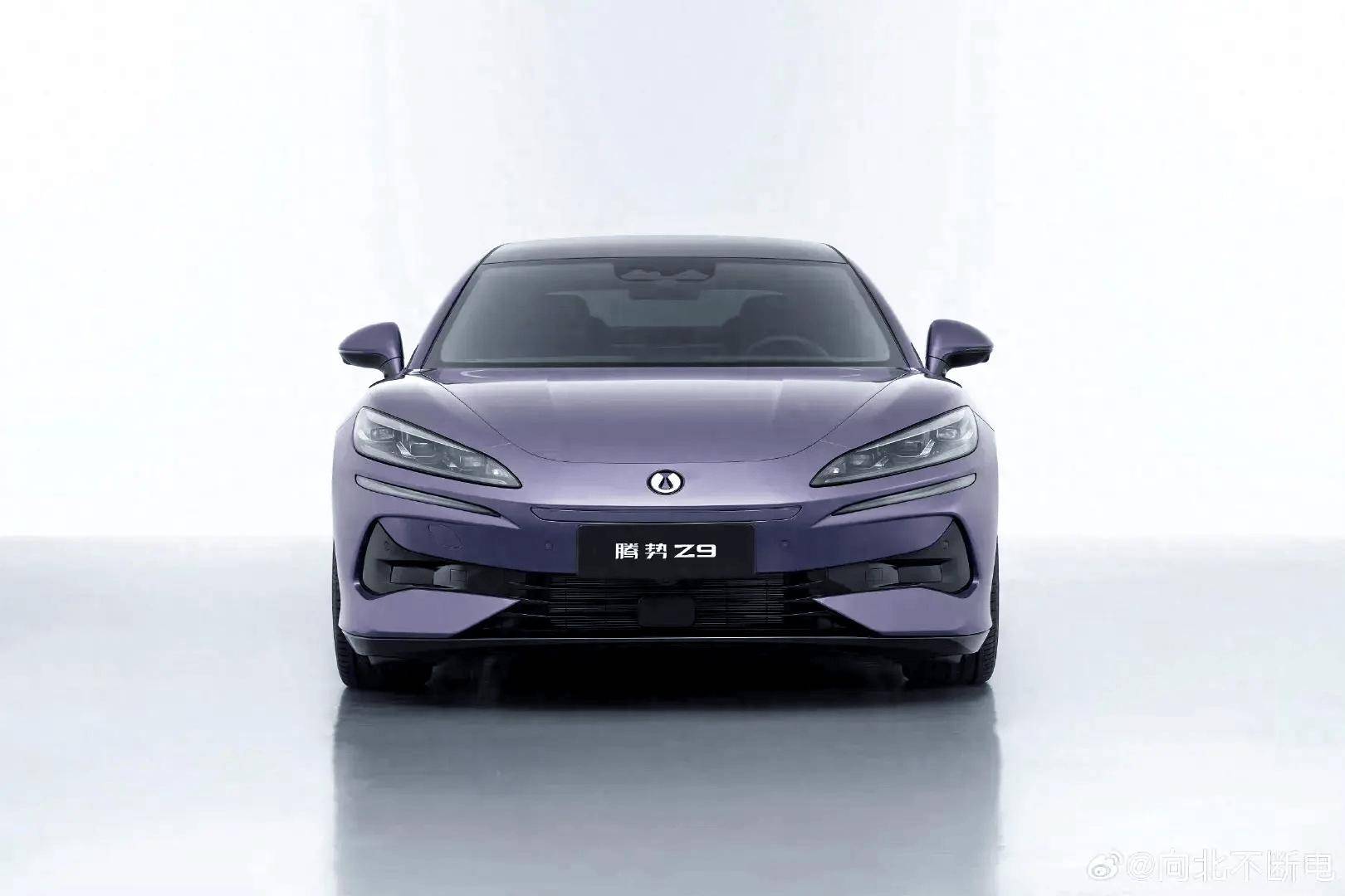 Appearance of Denza Z9