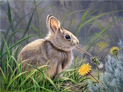 

Lovely Bunny – Paint By Numbers - 40*50CM, 501 Original