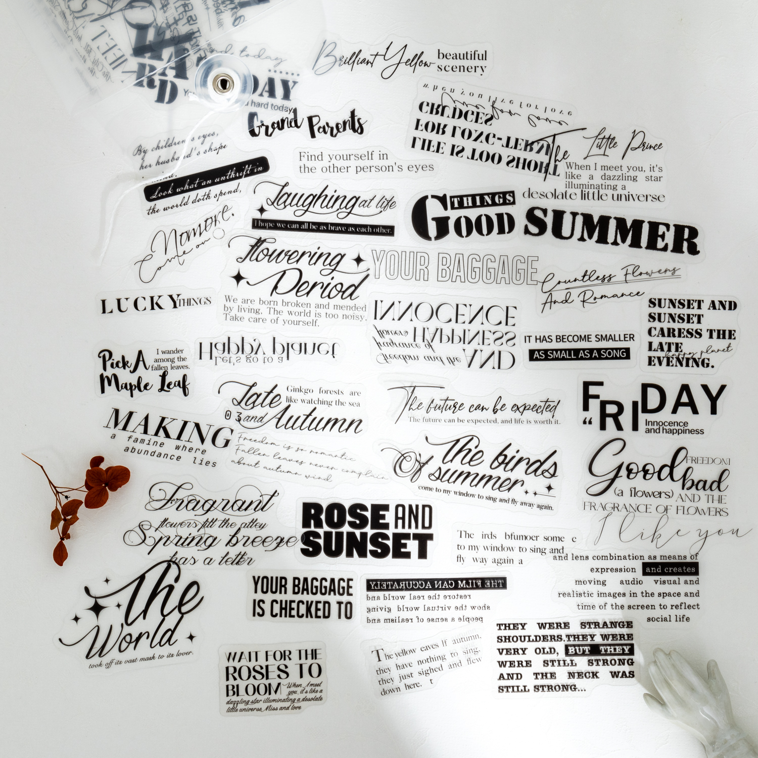 PET 스티커 - 단어 시리즈 빈티지 영어 텍스트