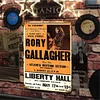 Rory Gallagher - Vintage Metal Signs - 20*30cm/30*40cm - Music
