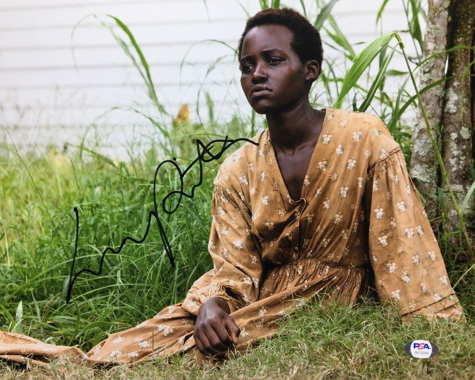 Lupita Nyong'o Signed '12 Years A Slave' 11x14 Photo Poster painting *Patsey PSA AH74084