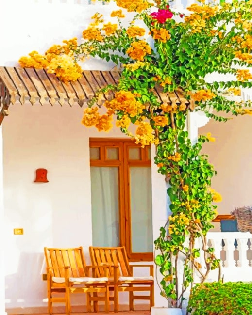 

Aesthetic House Garden – Paint By Numbers - 40*50CM, 501 Original