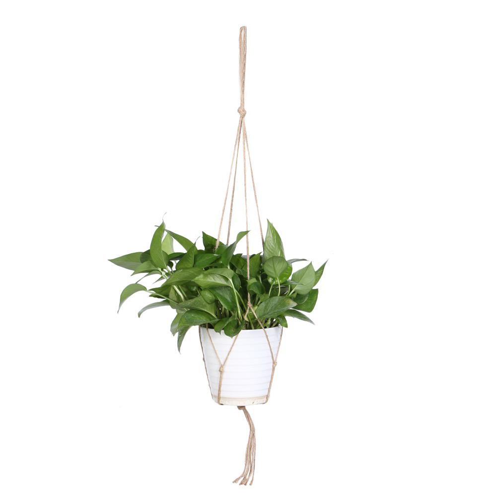 

Macrame Plant Hanger Flowerpot Holder, Ms05, 501 Original