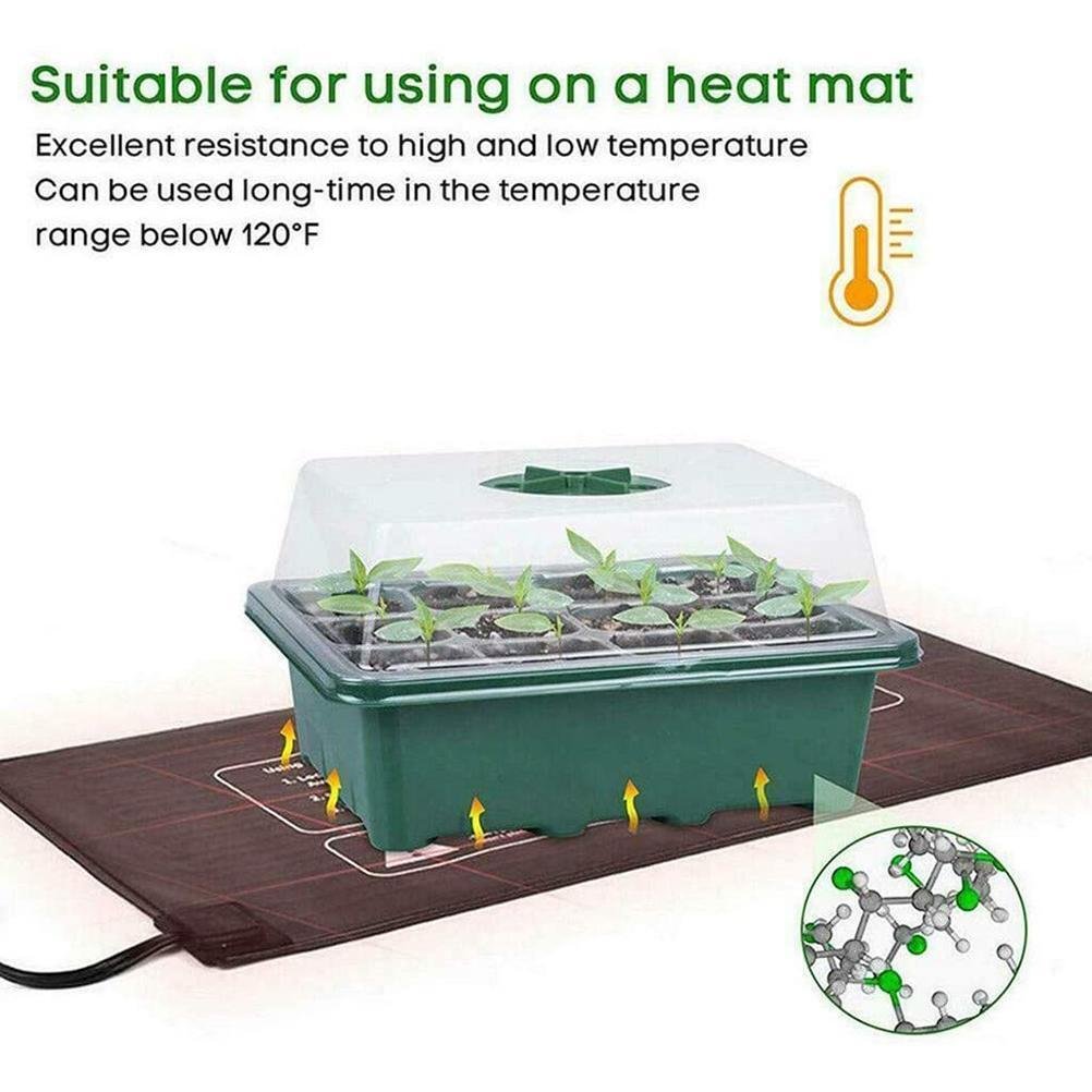 6/12 Hole Seedling Tray with Lid Cover | IFYHOME