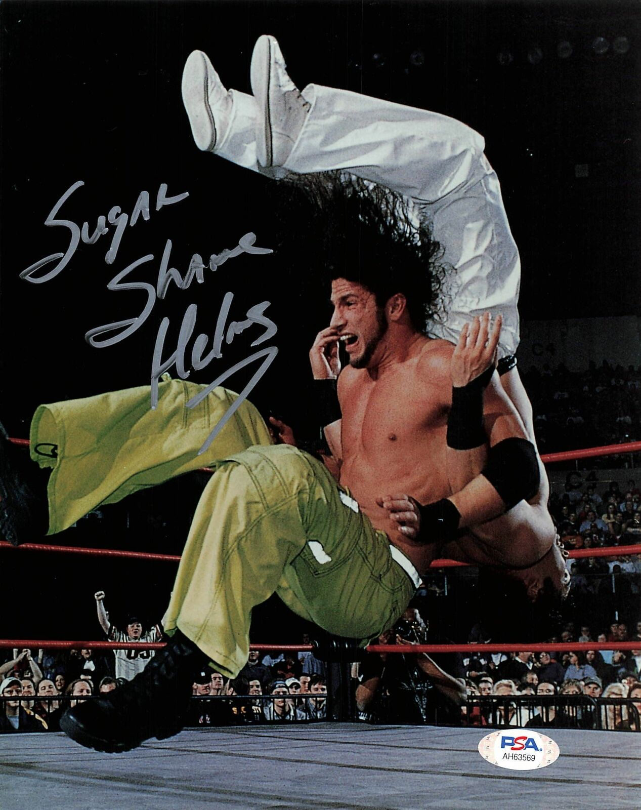 Shane Helms signed 8x10 Photo Poster painting PSA/DNA COA WWE Autographed Wrestling