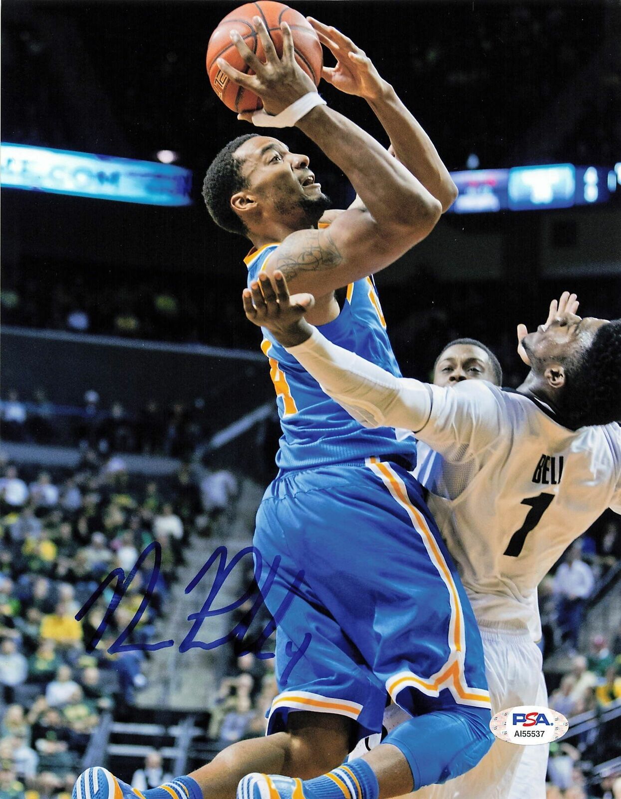 Norman Powell signed 8x10 Photo Poster painting PSA/DNA UCLA Bruins Autographed