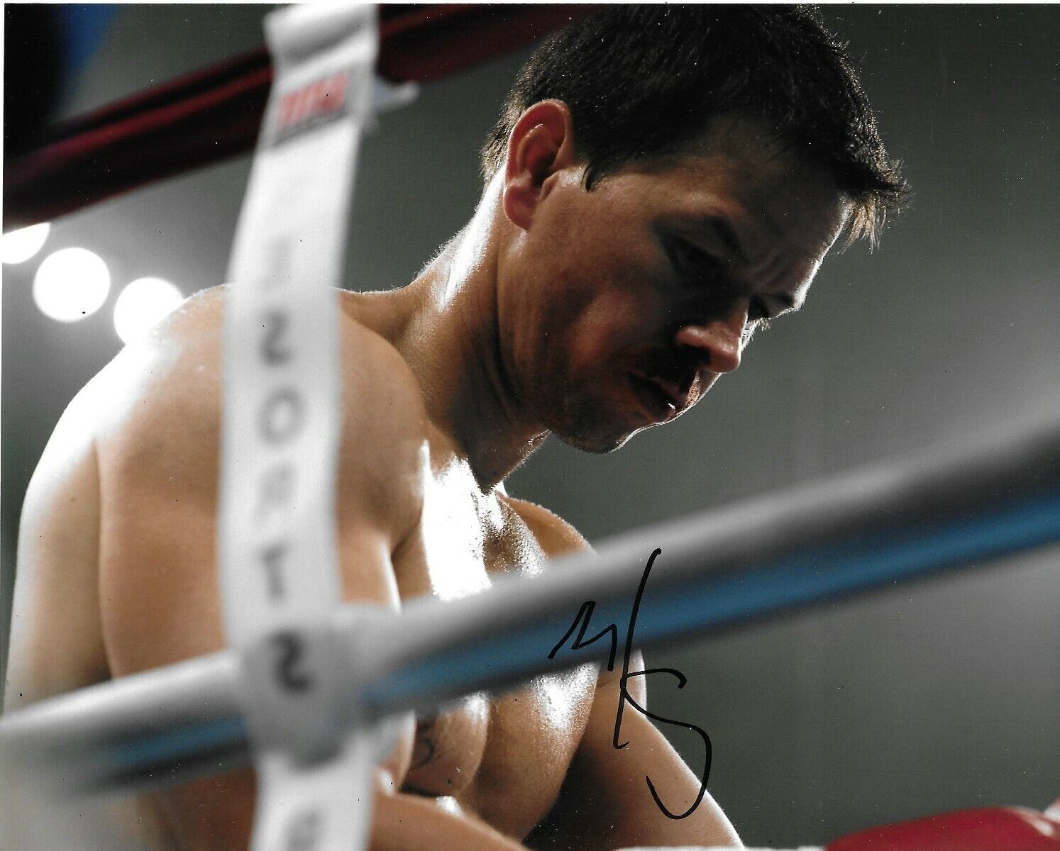 Mark Wahlberg Signed The Fighter 10x8 Photo Poster painting AFTAL