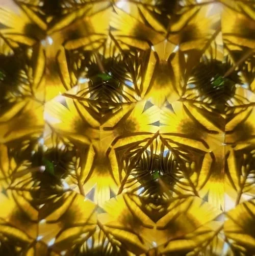 🔥Under $20 - Until Midnight🔥 Natural Wood DIY kaleidoscope