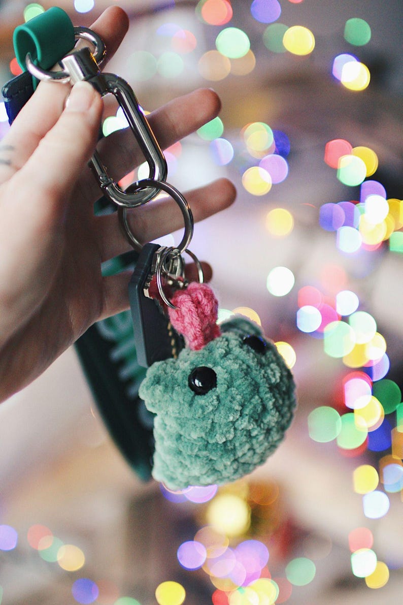May include: A green fuzzy keychain with pink yarn on top and black eyes. The keychain is attached to a silver key ring and a green lanyard.