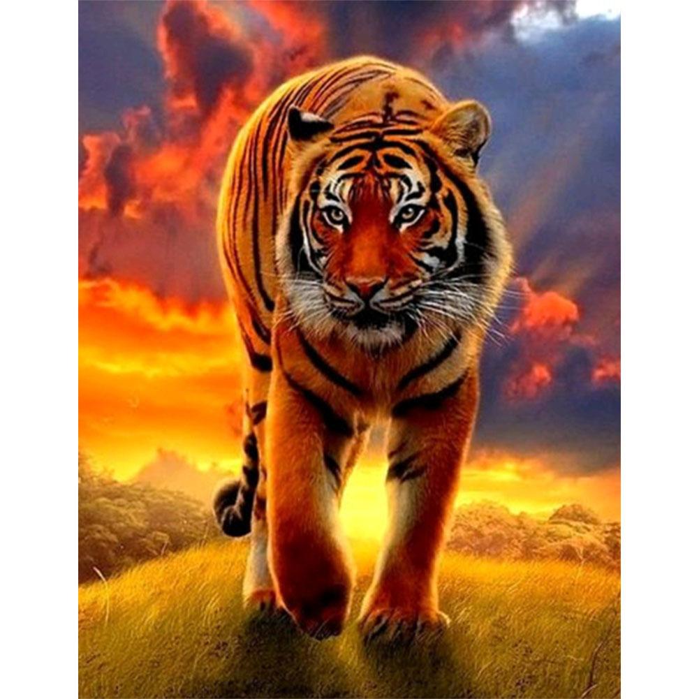

40x50cm - Paint By Numbers Tiger, 501 Original