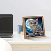 5D DIY Partial Special Shaped Drill Diamond Painting With Frame Kit Owl Decor 19.2x19.2cm