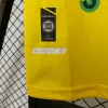 2025/2026 Barcelona 100th Anniversary Football Jersey 1:1 Thai Quality