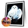 Diamond Painting -DIY Round Drill White Owl