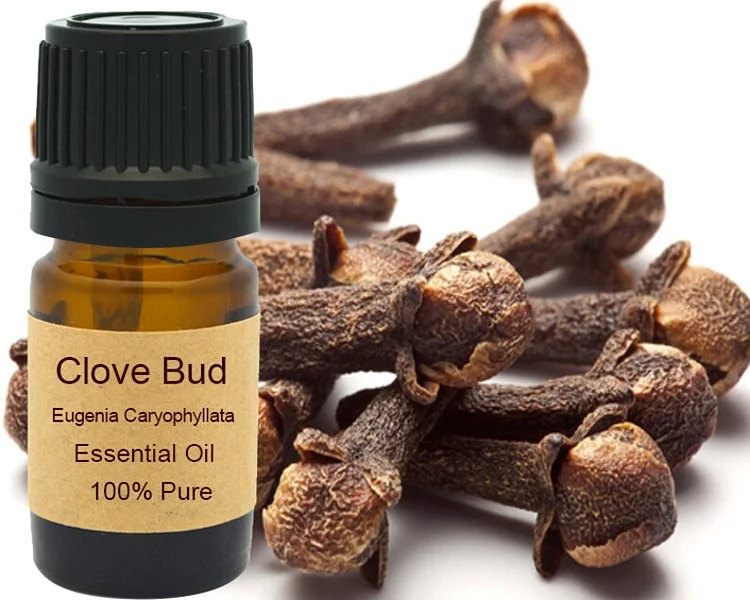 五月丁香花语 精油去痛症 CLOVE BUD Essential Oil For Muscle Pain 