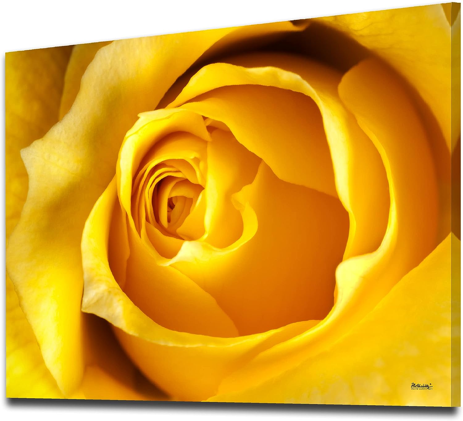 Photonability? Flower Wall Art Canvas Yellow Rose Petals Close-up Macro Photography Bedroom Living Room Floral Bedroom Living Room Bathroom Office | Home Decor Gift Ideas (16x24 inches) 16x24 inches