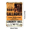 Rory Gallagher - Vintage Metal Signs - 20*30cm/30*40cm - Music