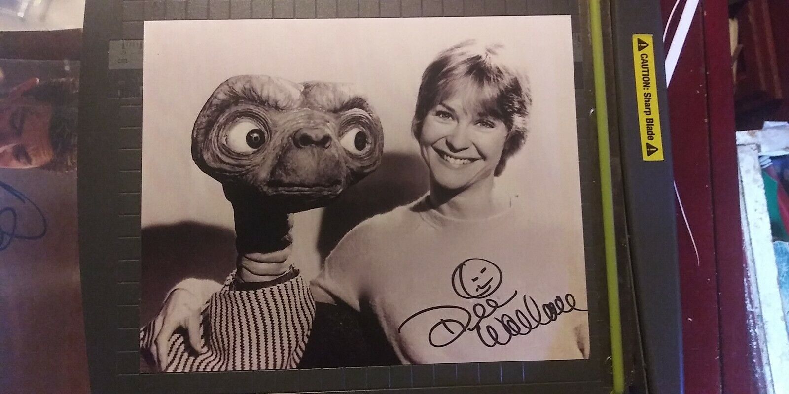 Dee Wallace signed 8x10