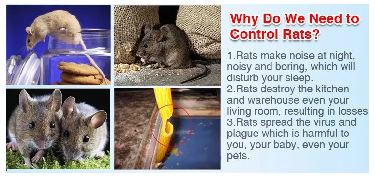 361N Indoor plug pest control electronic Ultrasonic pest repellent for Mosquito insect pest repeller ultrasonic