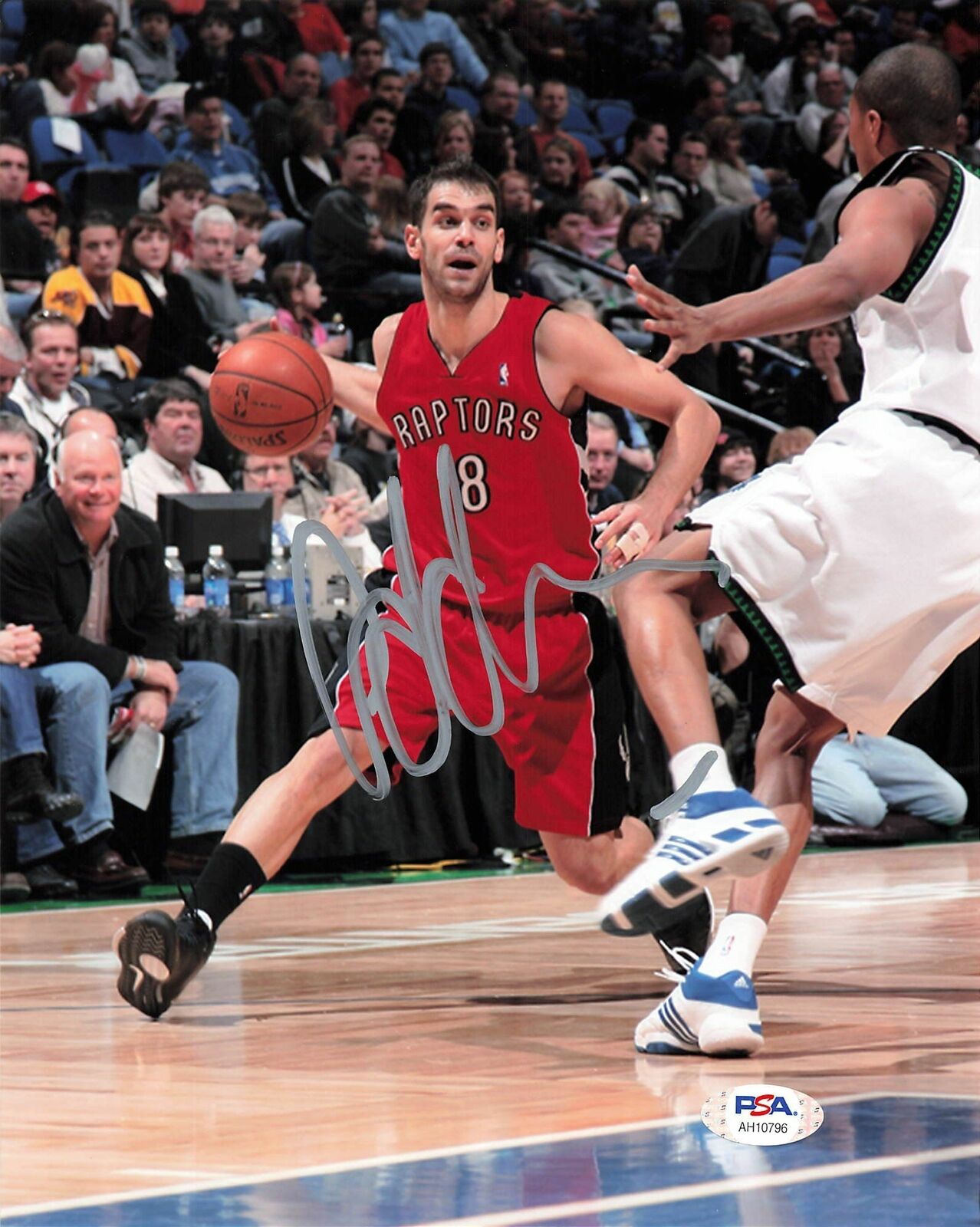 Jose Calderon signed 8x10 Photo Poster painting PSA/DNA Toronto Raptors Autographed