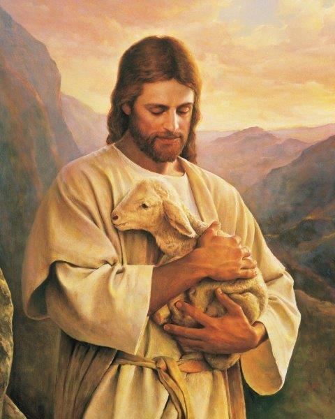 JESUS CARRYING LOST LAMB Christian Glossy 8 x 10 Photo Poster painting Poster Print Man Cave