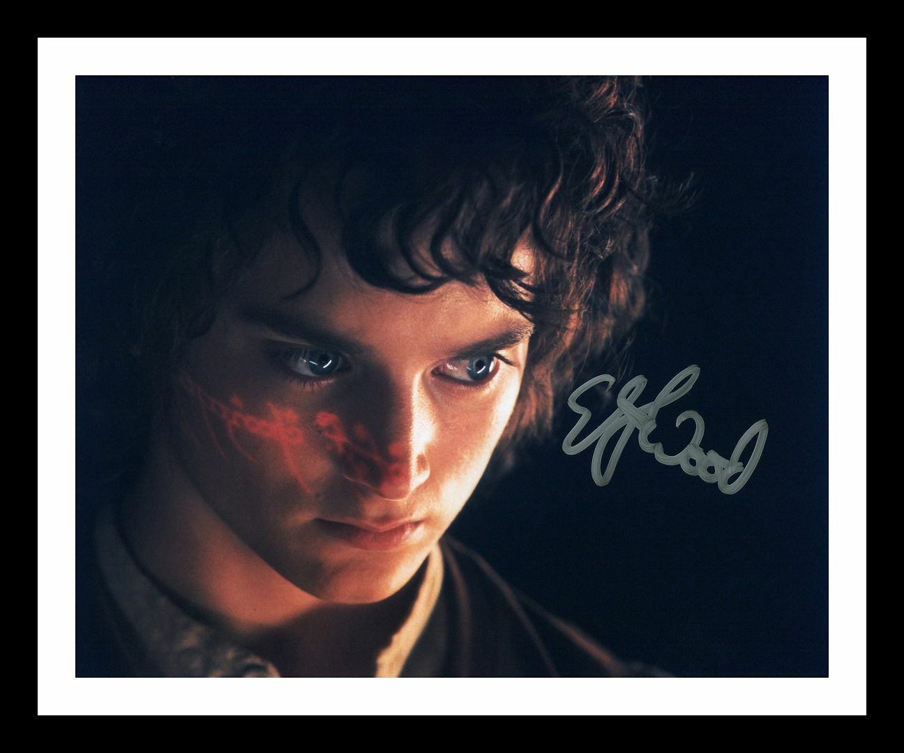 Elijah Wood - Lord Of The Ring Autographed Signed & Framed Photo Poster painting