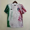 2023 Italy Training Suit White Football  Jersey