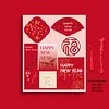 16PCS Purple Pink Red Chinese Happy New Year Hanging Decor Cards