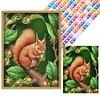 Squirrel- Round/Square AB Drills Diamond Painting(50x65cm)