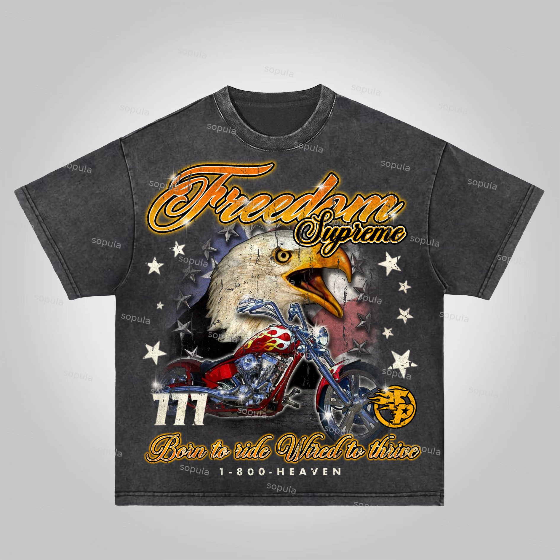 Sopula Freedom Is Supreme Vintage Locomotive Eagle Graphics Acid Washed T-Shirt
