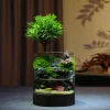 Original Moss Micro Landscape Ecological Bottle Indoor Desktop Plant Green Plant Potted Ecological Tank Fish And Crab